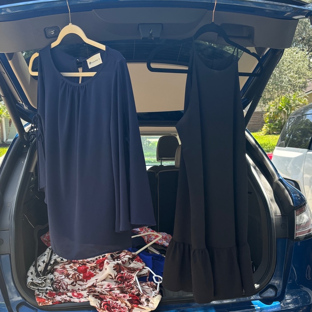 The Impeccable Pig Black Dress & navy Blouse
